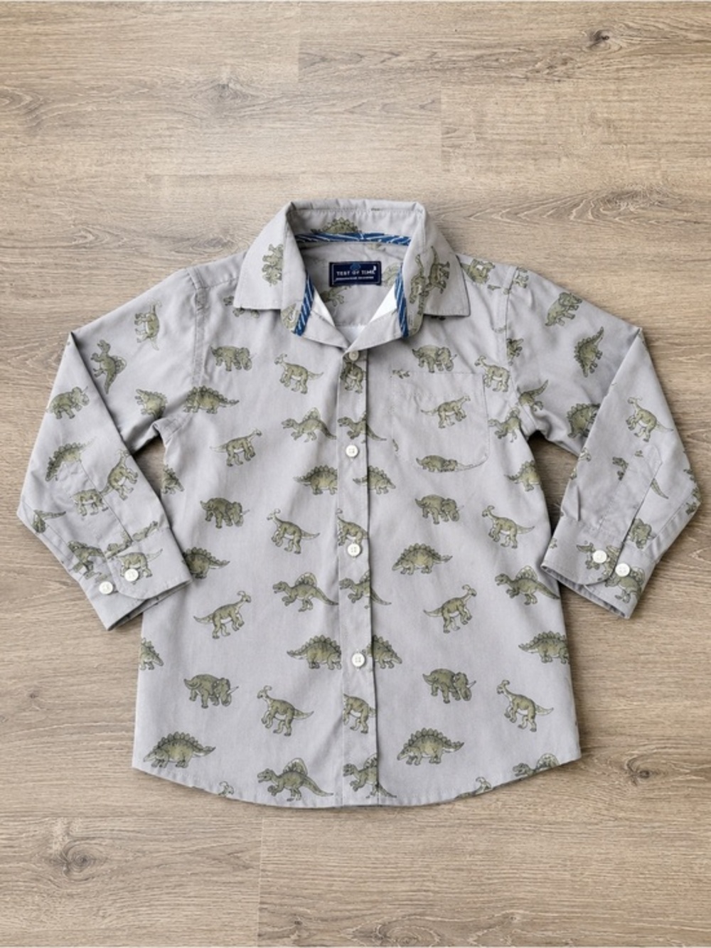 Test Of Time Boys 3T Dinosaur Button Up Shirt Gray Long Sleeve Collared Top